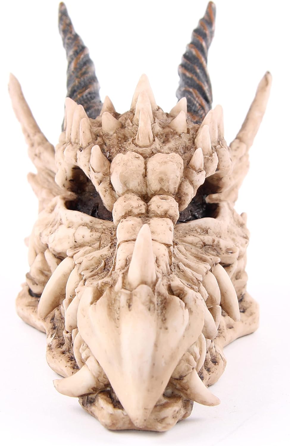 Puckator Dragon Skull Money Box - Mystery Lock Box - Fantasy Coin Piggy Bank Savings Challange - Money Pot - Kids Safe - Cool Things - Money Safe - Resin