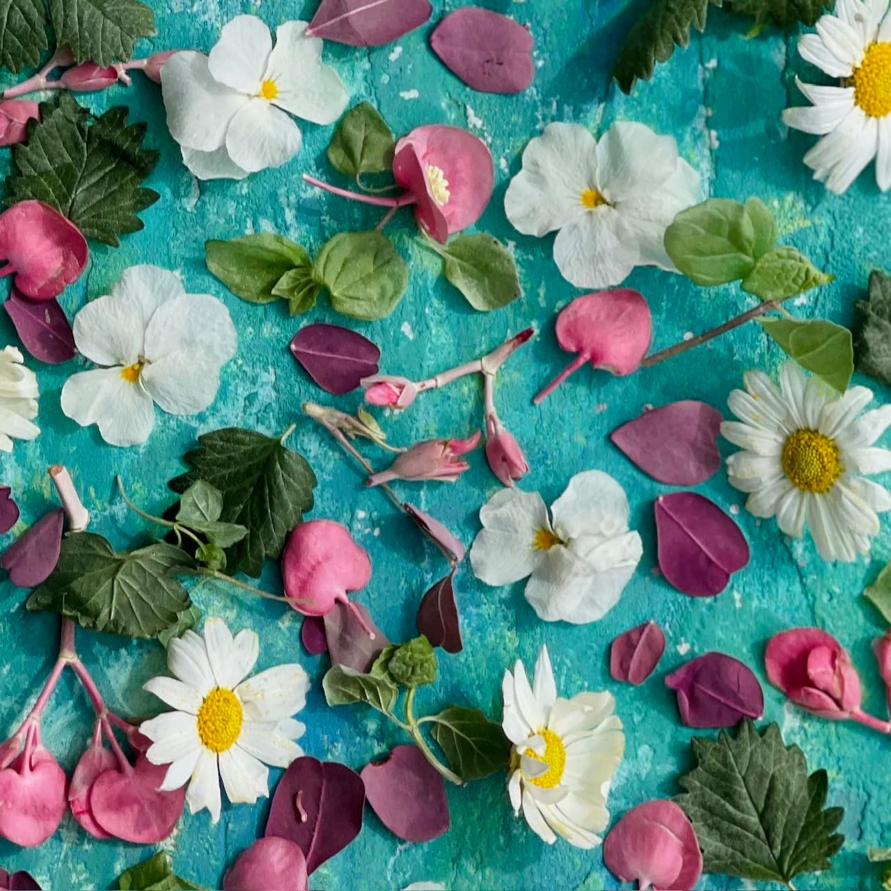 Edible 'Rachel' Freeze Dried Flower Petal Mix - Certified Food Grade (547)