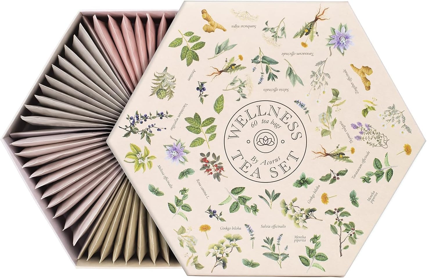 ACORUS Wellness Tea Set – Natural Herbal Tea Variety Pack, Gift Set of 6 Different Teas, 60 Bags Individually Wrapped, Herbal Sampler Box, Harmonious Balance of Taste and Aroma