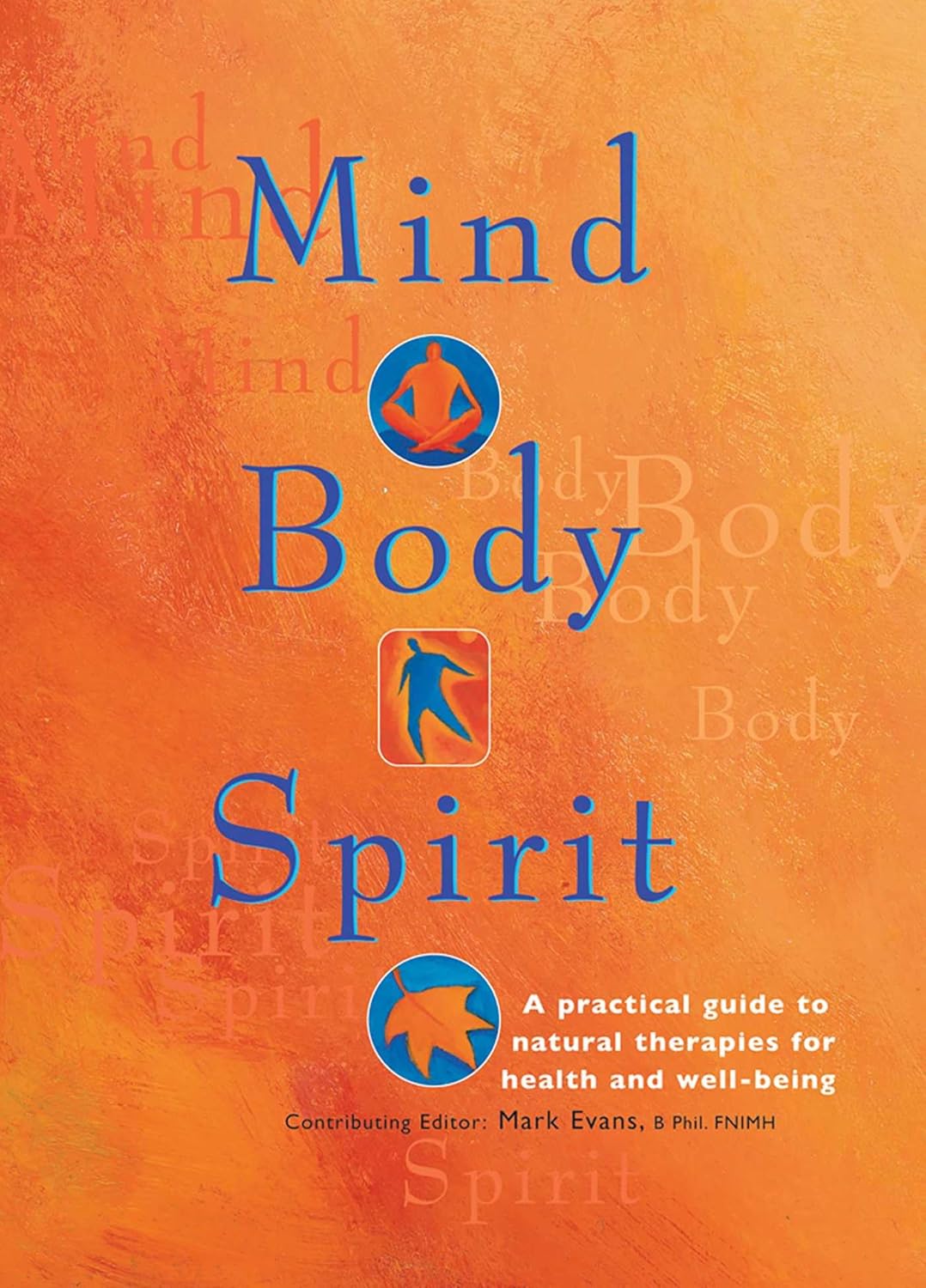Mind Body Spirit: A Practical Guide to Natural Therapies for Health and Well-Being