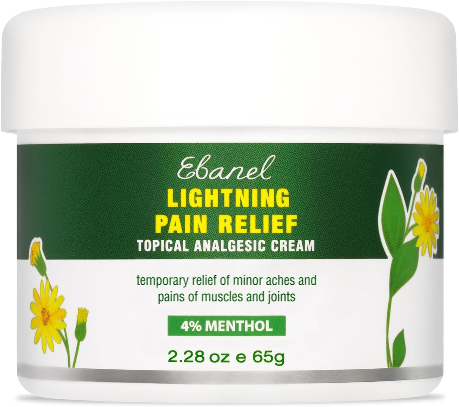 Ebanel Menthol Arnica Gel Pain Relief Cream with Hemp Oil, Emu Oil, MSM, Camphor, Vitamin B6, Boswellia, Bruise Cream Muscle Rub for Arthritis, Strains, Sprains, Joint Pain