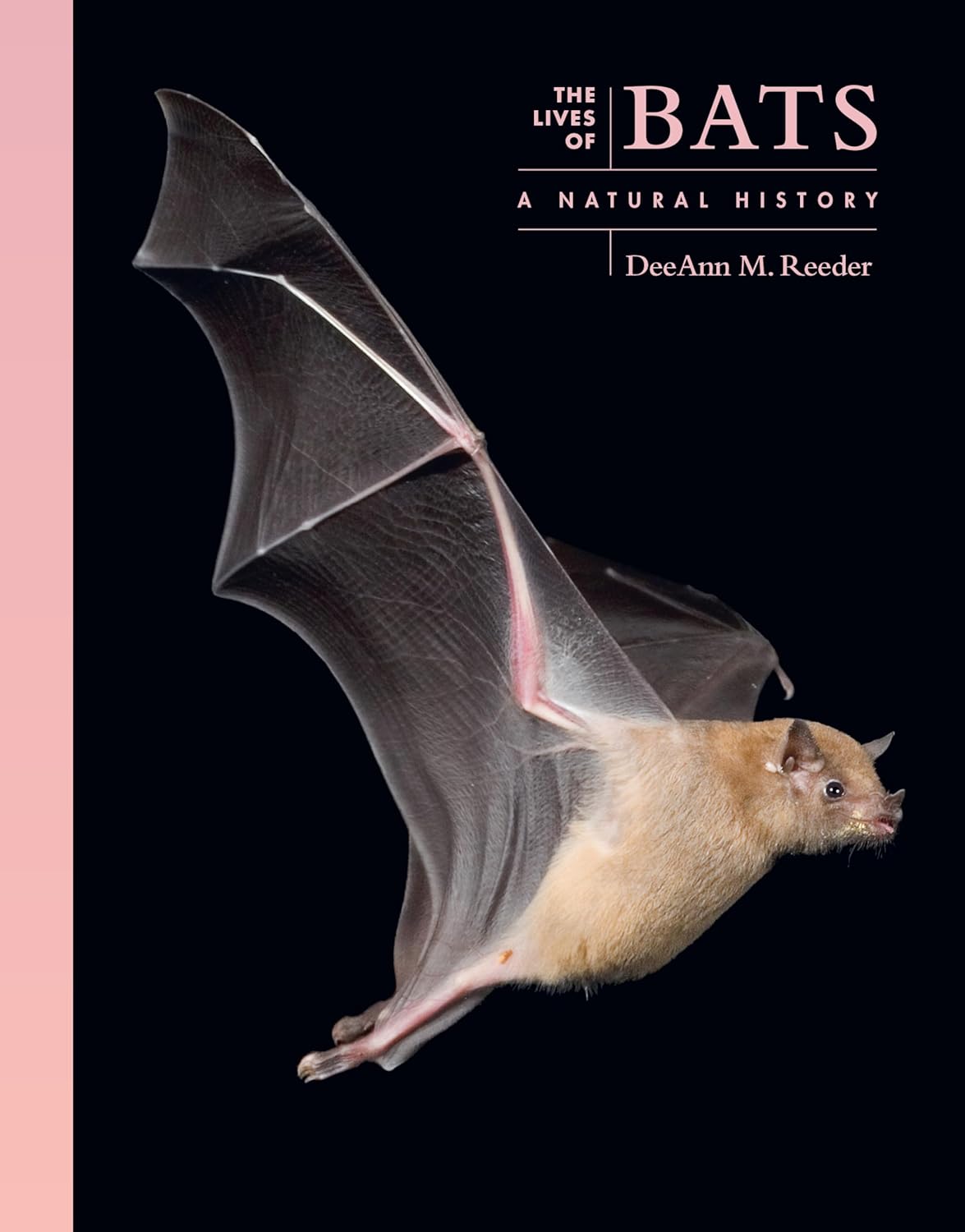 The Lives of Bats: A Natural History (The Lives of the Natural World)