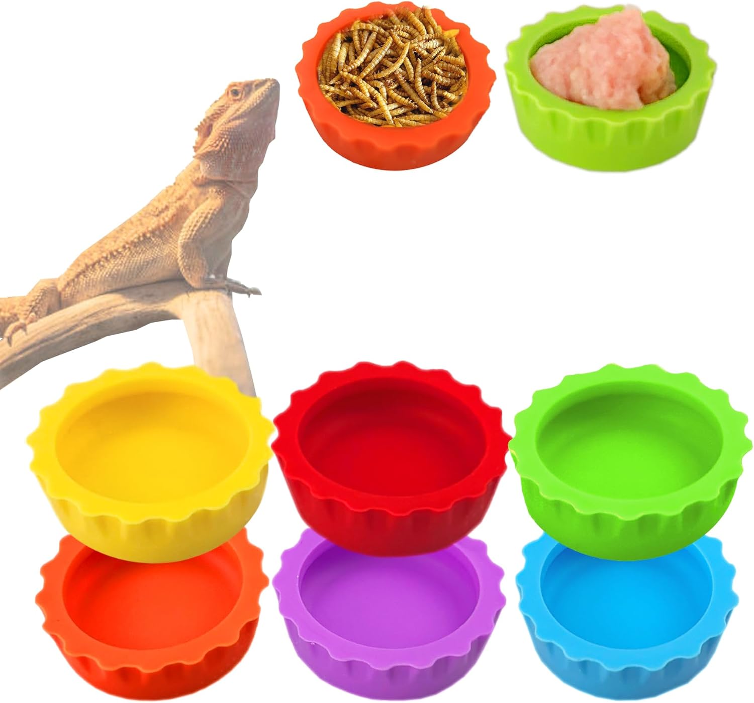 Meow&Woof Crested Gecko Food and Water Feeding Cups, Reptile Food Dish, Colorful Water Bowl for Bearded Dragon Tank Terrarium Accessories Supplies for Tortoise, Crab and Small Pet (6 Pcs)