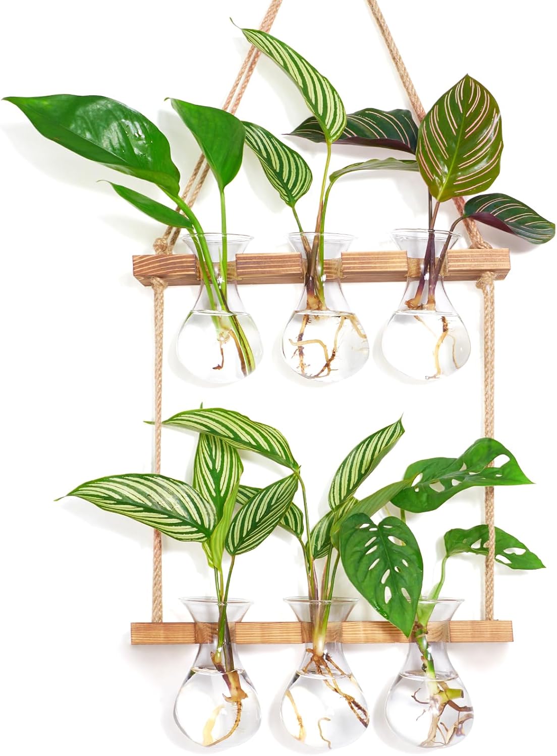 XXXFLOWER Wall Hanging Plant Propagation Station with Wooden Stand 3 Bulb Vase 2 Tiered Glass Planter Stations for Hydroponic Plant Cuttings Home Garden Wedding Decoration