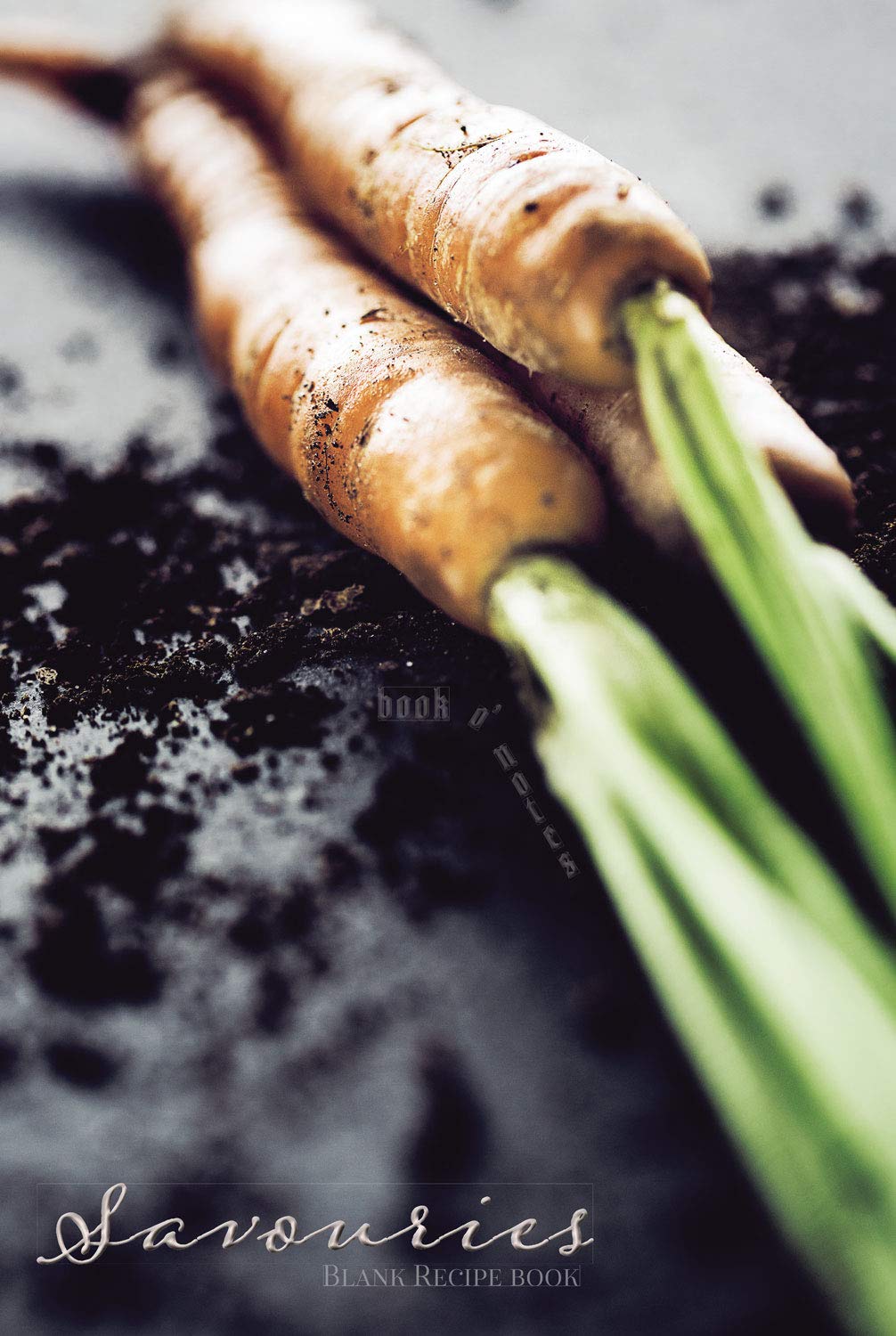 Savouries: Blank Recipe book (Book O' Notes)