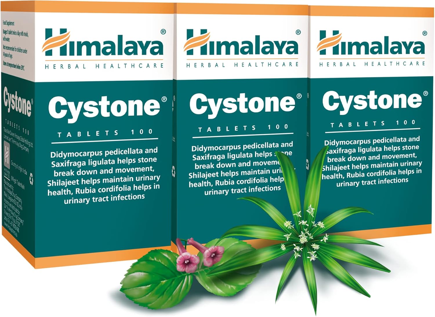 Himalaya Cystone, Urinary Tract Health, Herbal Supplement for Men and Women - for Kidney Cleanse and Support - 100 Capsules, 3 Pack