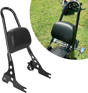 ECOTRIC Detachable Sissy Bar Passenger Backrest Compatible with 2004-Up Harley Sportster XL883C 883R XL1200R 1200C 1200S XLH883 XLH1200 Motorcycle Backrest W/Cushion Pad