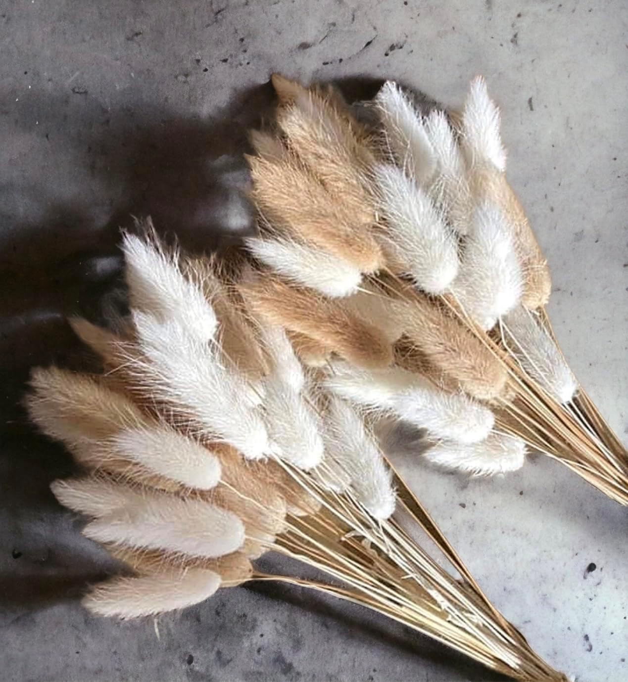 VELAFEE 100 Stems Mix Lagurus Bunny Tails Pampas Grass Decor for Home Decor Cake Decor 45cm 17.7inches Rabbit Tails Dried Flowers Bouquet Best for Boho Decor Table Decoration Bedroom Decor
