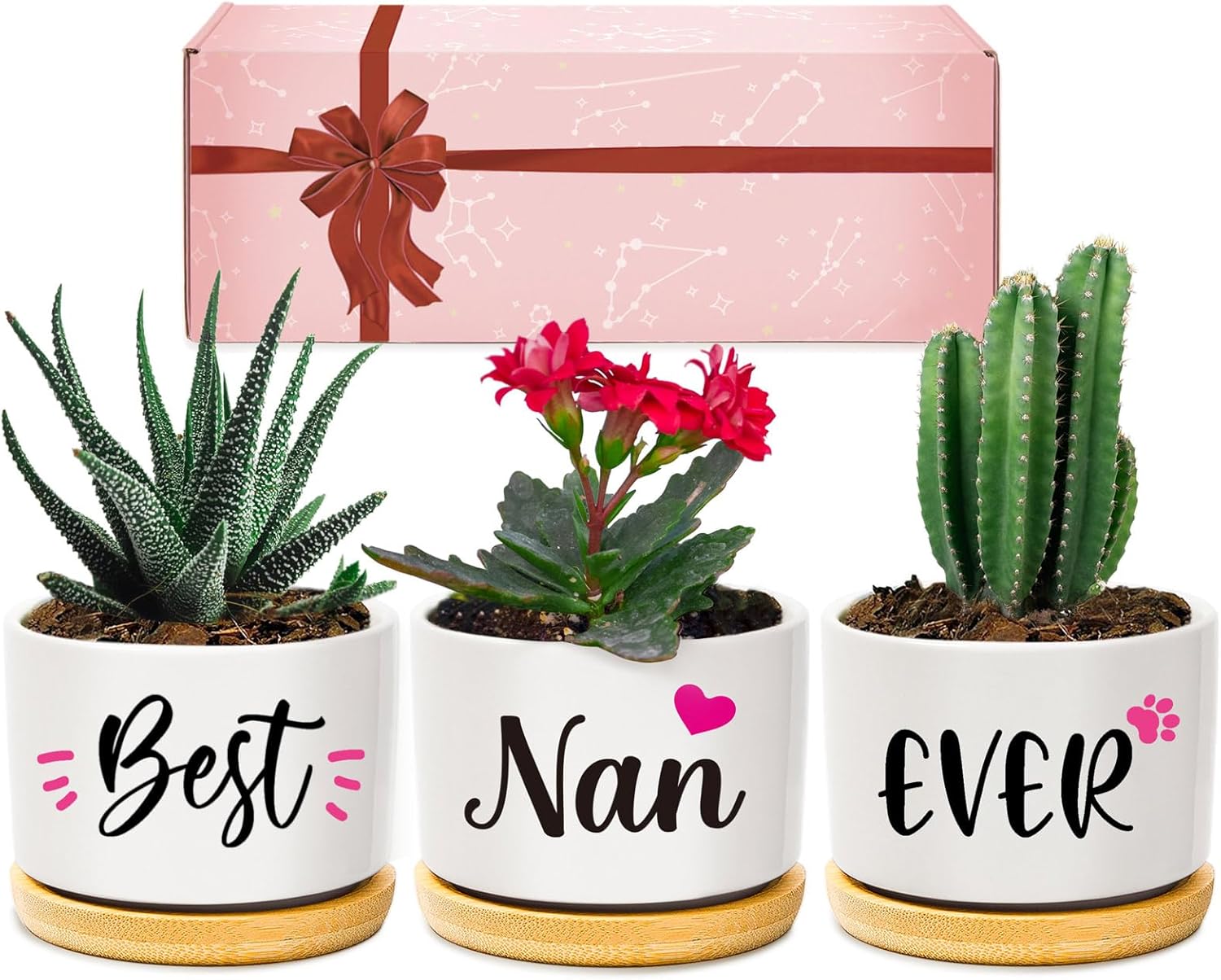 Giftasy Nan Gifts, Nan Birthday Gifts, Best Nan Ever Succulent Pots Gifts for Nan from Grandchildren, Unique Garden Gift Ideas for Nan on Mother's Day for Nan