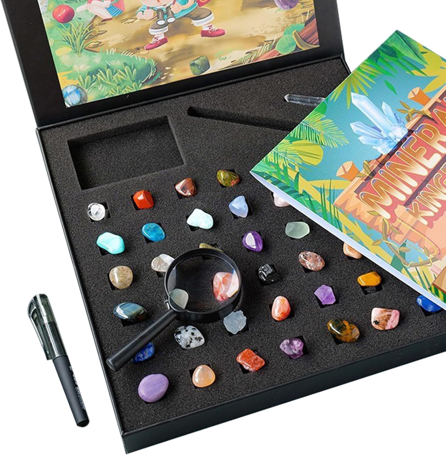 Vbvbip Rock Kit for Geology Enthusiasts | Rock Collection with Mineral Testing Tools, Crystal Geode Display & Volcanic Samples | Beginner to Advanced Specimen Study