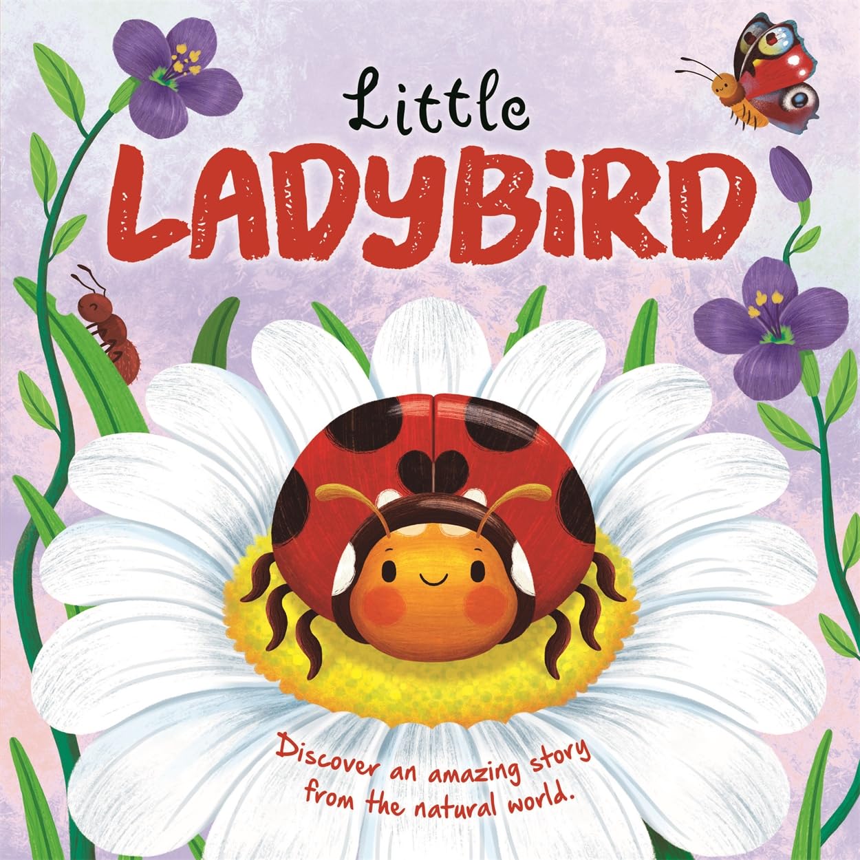 Little Ladybird (An illustrated story about the life-cycle of a ladybird)