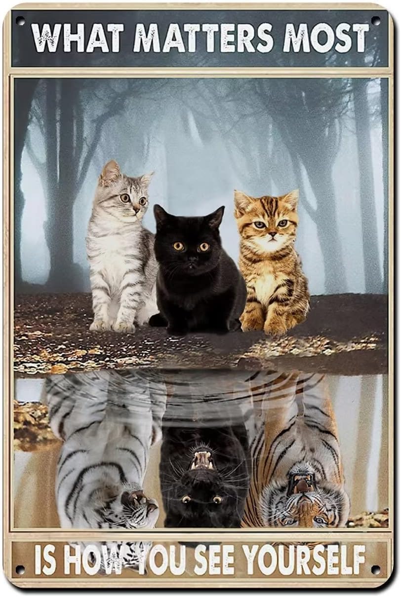 Black Cute Cat Metal Retro Tin Sign-What Matters Most is How You See Yourself-Vintage Inspirational Sign for Home Coffee Wall Decor Cafe Decorative Wall Signs Motivational Wall Art 8x12 Inch
