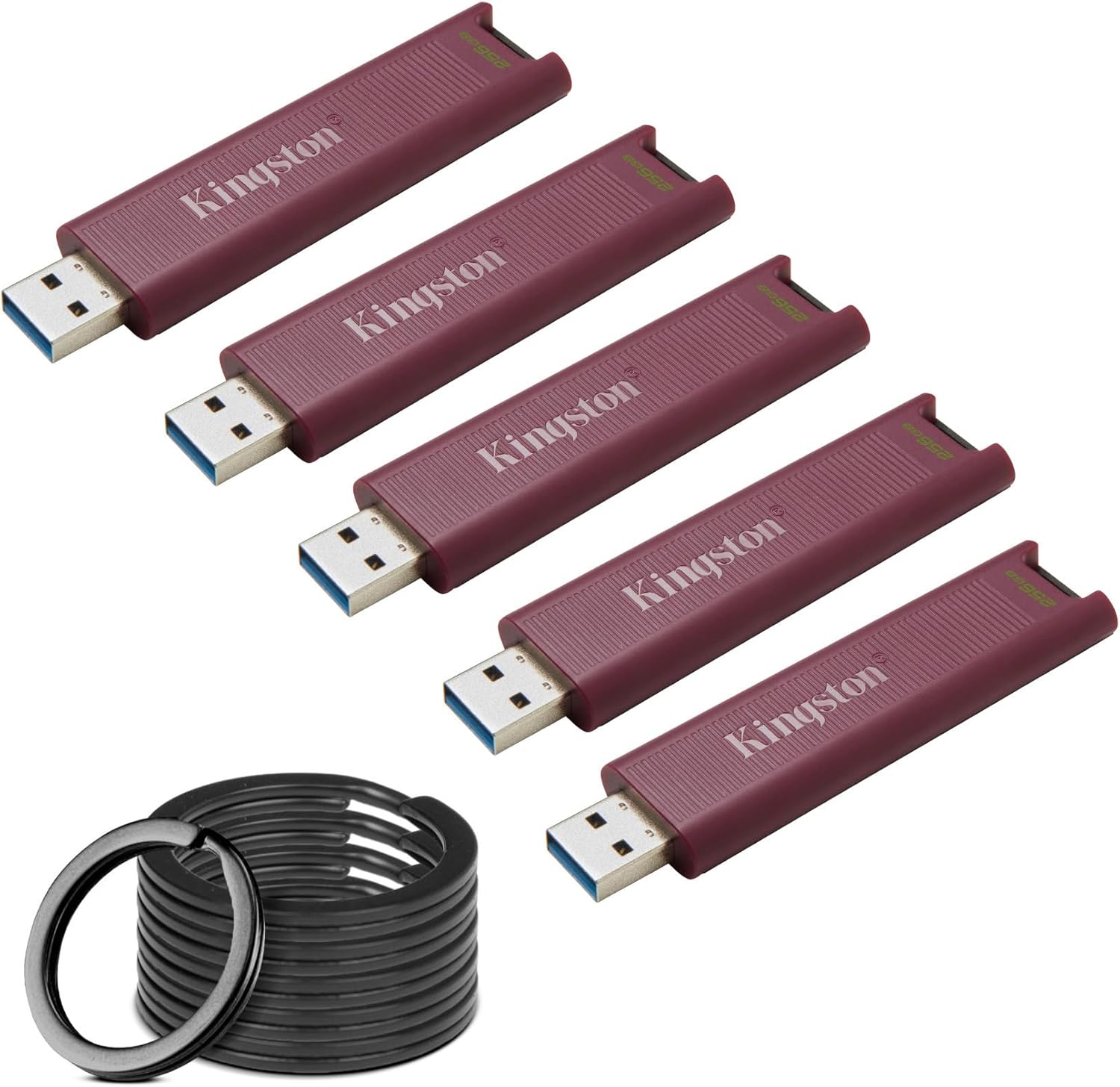 Kingston DataTraveler Max Type-A 256GB High Performance USB Flash Drive (5-Pack) Bundle with Focus Camera Stainless Steel Keyrings (10-Pack) (6 Items)