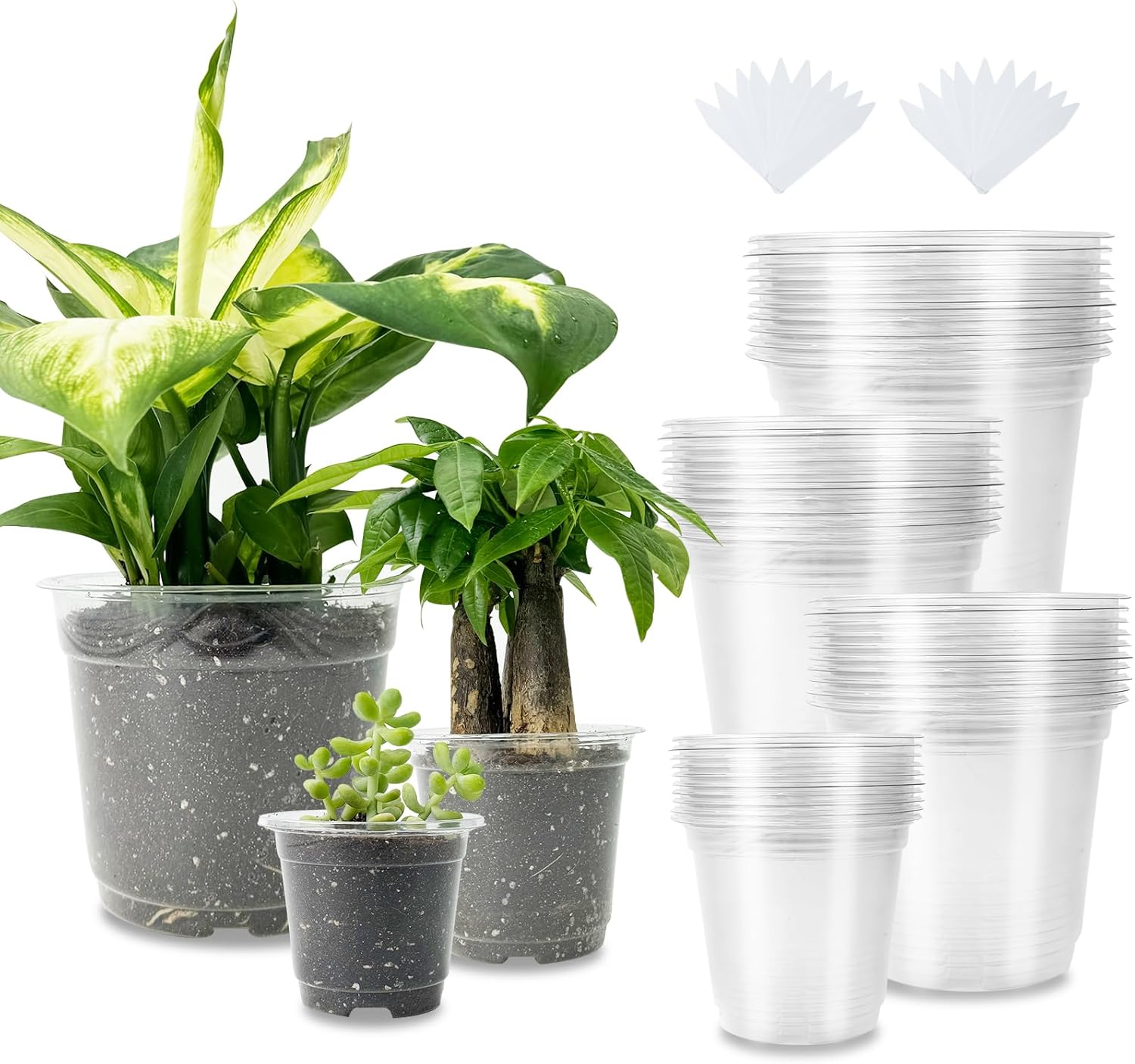 40 Packs 3.5/4/5/6 Inch Clear Nursery Pots for Plants,Seedling Pots with Drainage Holes, Transparent Plastic Planter Variety Pack Seedling Planter Seed Starter Flower Plant Container with 40 Labels