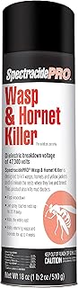 Spectracide PRO Wasp & Hornet Killer (Aerosol)(18 oz), Pack of 1, White Can