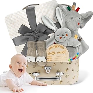 Baby Boy Gift Basket Set, Unique Baby Gift Basket Set, New Baby Boy Gift Basket, New Baby Gift Basket Set with Baby Blanket, Baby Rattle, Bunny, Keepsake Milestone, Elephant Toy, Baby Socks