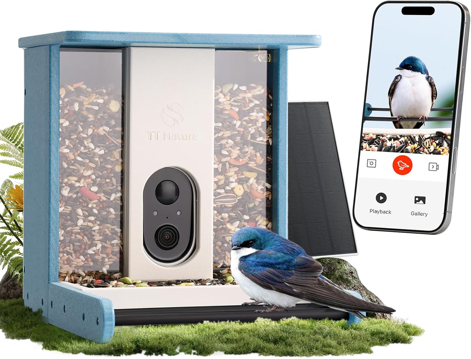 TT Nature HDPE Smart Bird Feeder with Camera, Solar Powered, AI Identifies 10,000+ Birds Species, Auto Capture 1080P Videos & Instant Alerts, Ideal Gift for Family and Lover