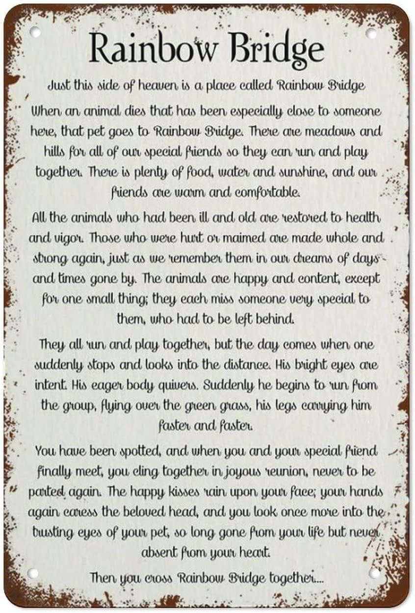 Viewkedt Decor Pet Dog Cat Memorial Remembrance Loss of A Pet Loss Gifts Rainbow Bridge Poem Quote Spring 12x8 in Tin Sign Home Decor Home Art Metal Signs Wall Art Wall Decor Poster