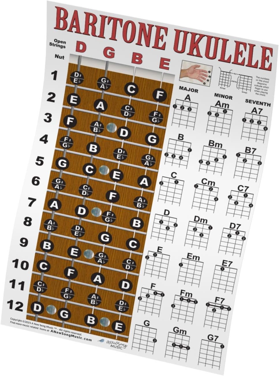 Baritone Ukulele Fretboard Notes & Easy Beginner Chord Chart Instructional Poster for Bari Uke by A New Song Music 11"x17"