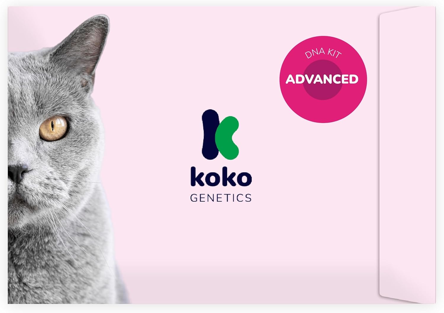 DNA Test for Cats Advanced - (+150 Reports of Breeds, Health and Traits) - Upgrades at no cost