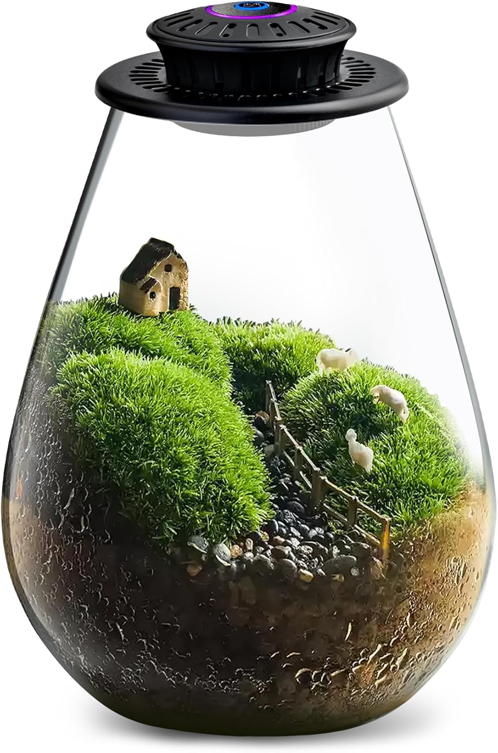 Glass Plant Terrarium with UFO LED Light, Large Terrarium for Venus Fly Trap Live Plant with LED Light & Ventilation, for Plants Ideal for Succulents,Home Office Desk Decor, 7.8" Tall