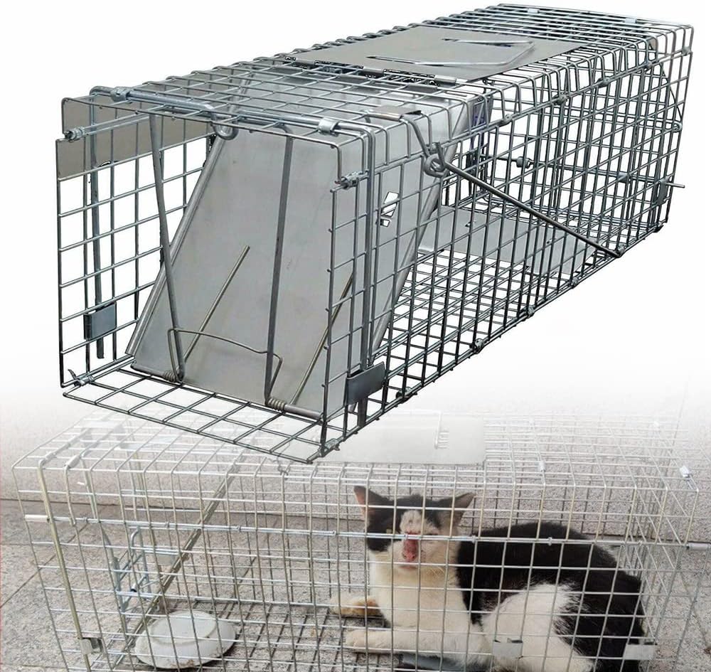 Humane Live Animal Trap Catch and Release for Chipmunks, Squirrels, Rabbits, Skunks, Cat, and Other Small Animals, 1-Door Easy to Set Mouse Catcher