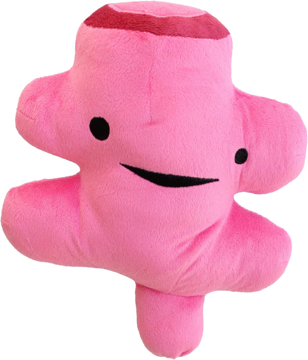 I Heart Guts Rectum Plush - Bringing Up The Rear - 10" Colorectal Surgery Stuffed Toy, Gift for Surgical Recovery, Butt Cancer, Prolapse Pillow, Colon Disease, Poop