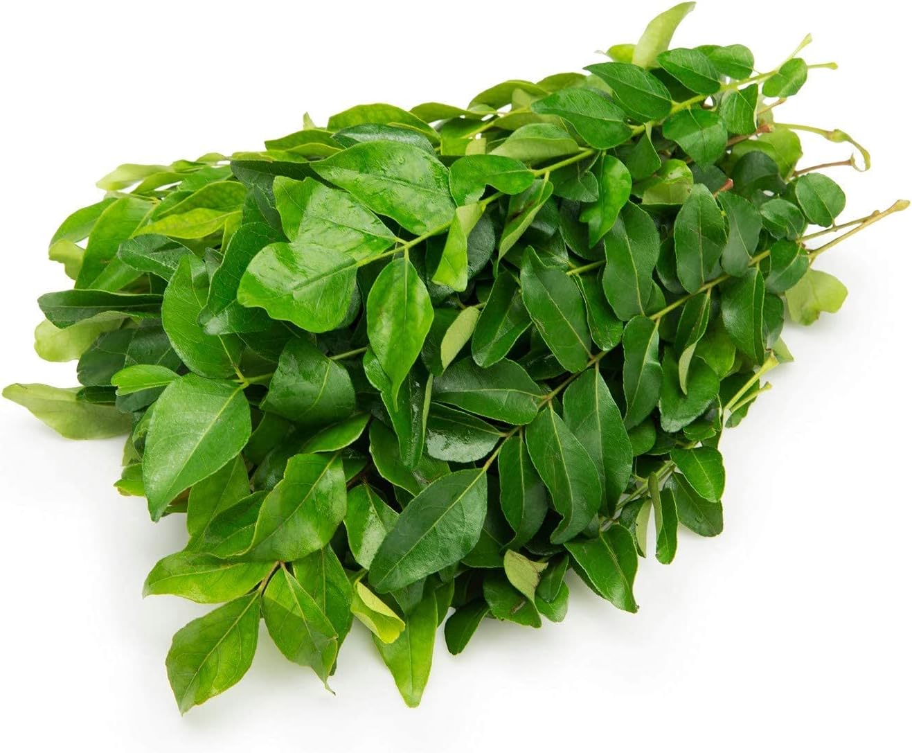 veenas Fresh Curry Leaves | Natural Curry Leaves | Aromatic Leaves | Indian herb | Fresh Leaf | Used for Giving Extra Aroma | for Indian & Sri Lankan Cuisine | Indian Origin | Approx 20G