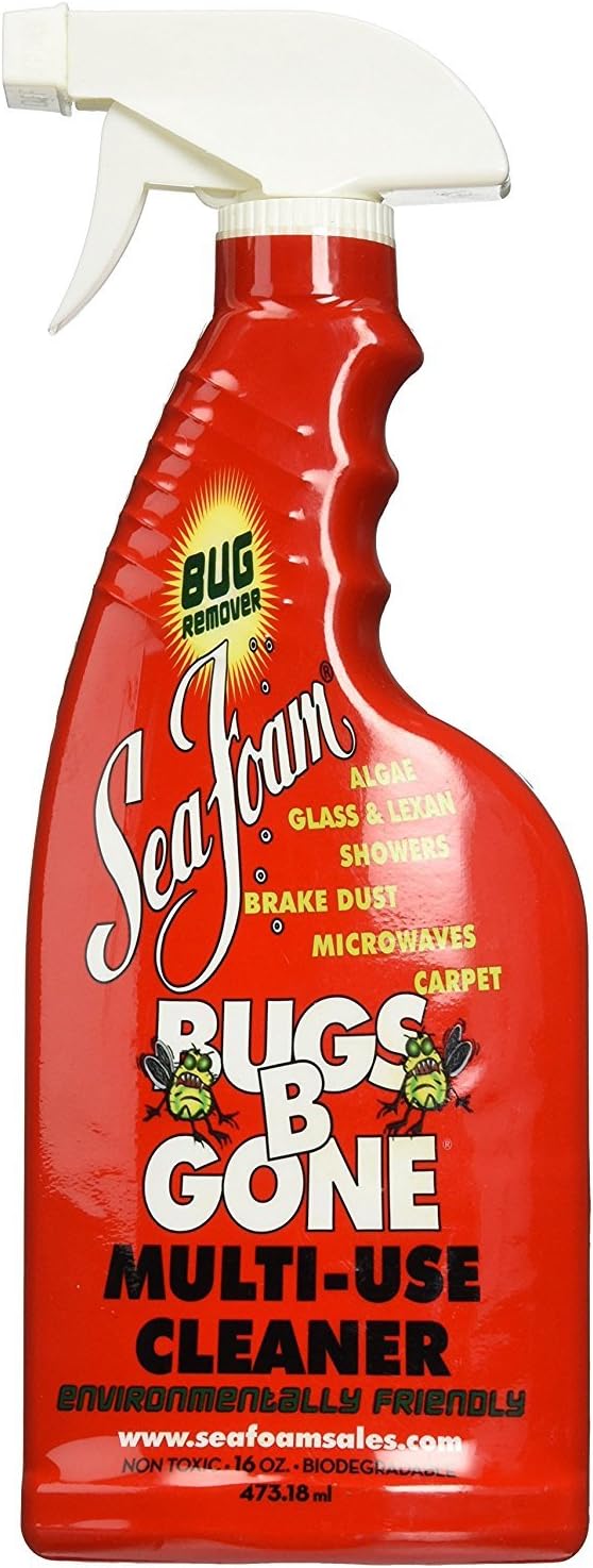 Sea Foam BBG1 Cleaner