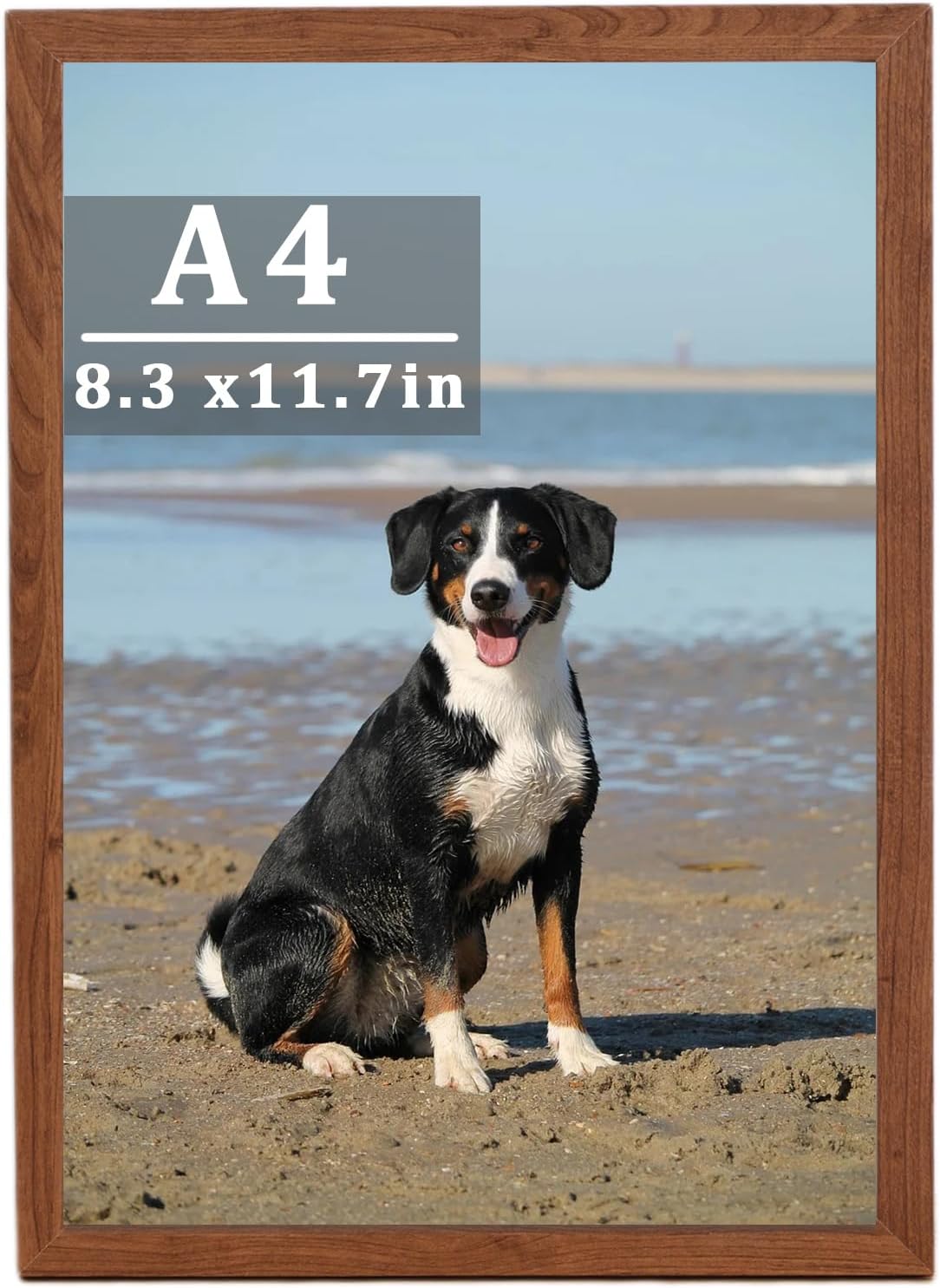 A4 Frame Picture Frames Wooden Photo Frame with Stand Tabletop or Wall Hanging Wall Mount 21 x 29.7cm For Poster Frame Desk Certificate Displaying (Teakwood brown)