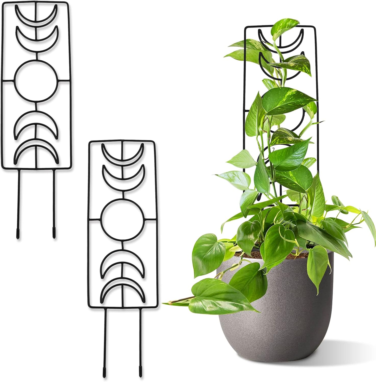 Tuitessine Moon Phase Trellis Indoor/Outdoor Plant Trellis - Metal Wire Climbing Plant Support - 2 Packs - 14.1''