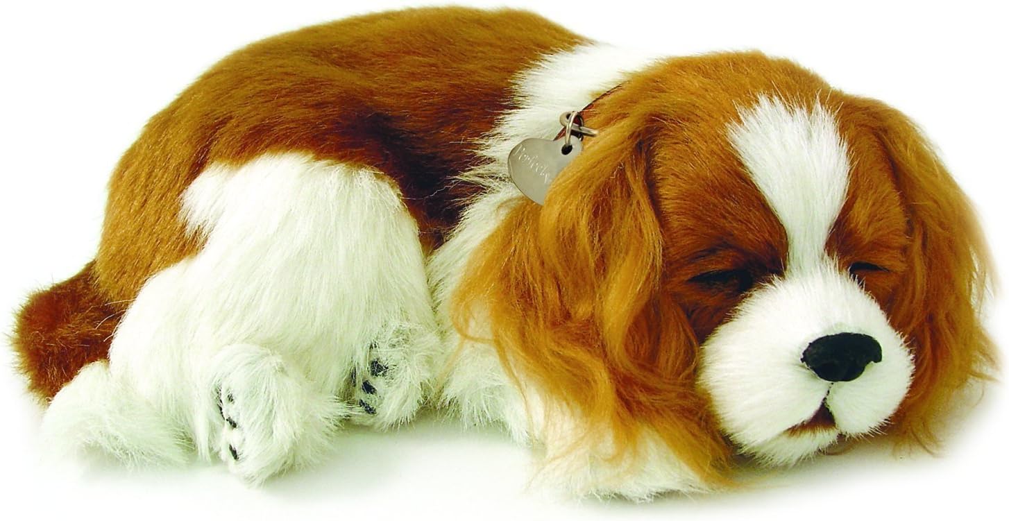 Original Petzzz Cavalier King Charles, Realistic, Lifelike Stuffed Interactive Pet Toy, Companion Pet Dog with 100% Handcrafted Synthetic Fur – Perfect Petzzz