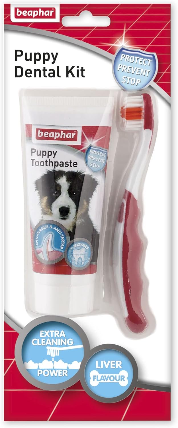 Beaphar | Toothbrush & Toothpaste Dental Care Kit Puppies | Includes A Small-Headed Toothbrush and Liver-Flavoured Enzymatic Toothpaste, 50g Tube