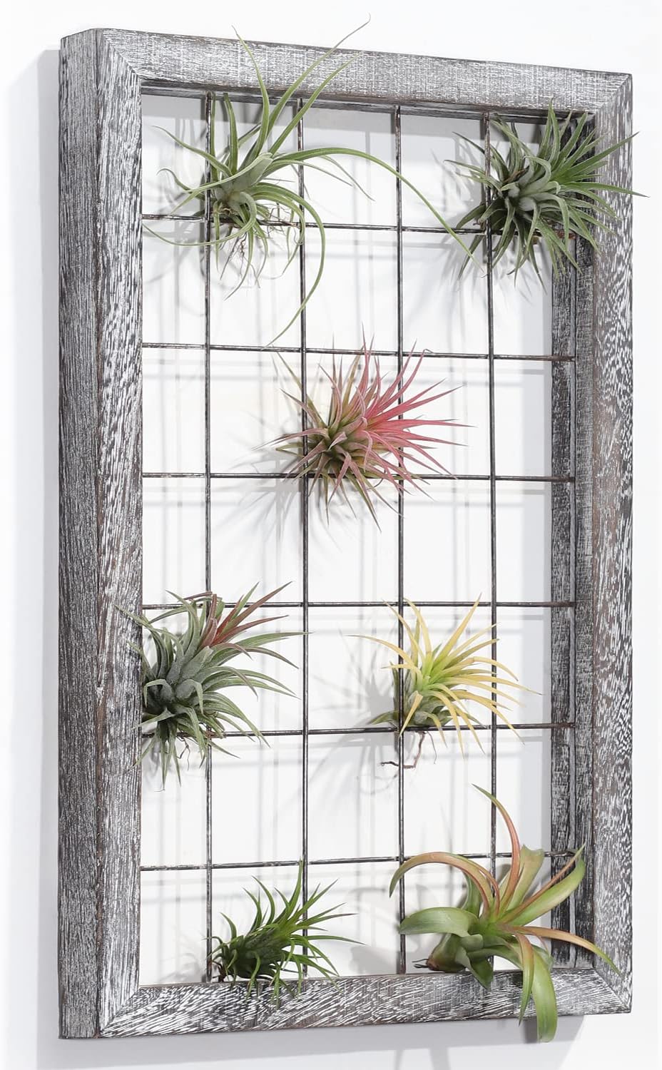 AOAOPQ Air Plant Holder Wood Frame Air Plant Stands Hanger Wall Mounted for Home Office Farmhouse Home Decoration Wall Plant Holder Rustic Brown