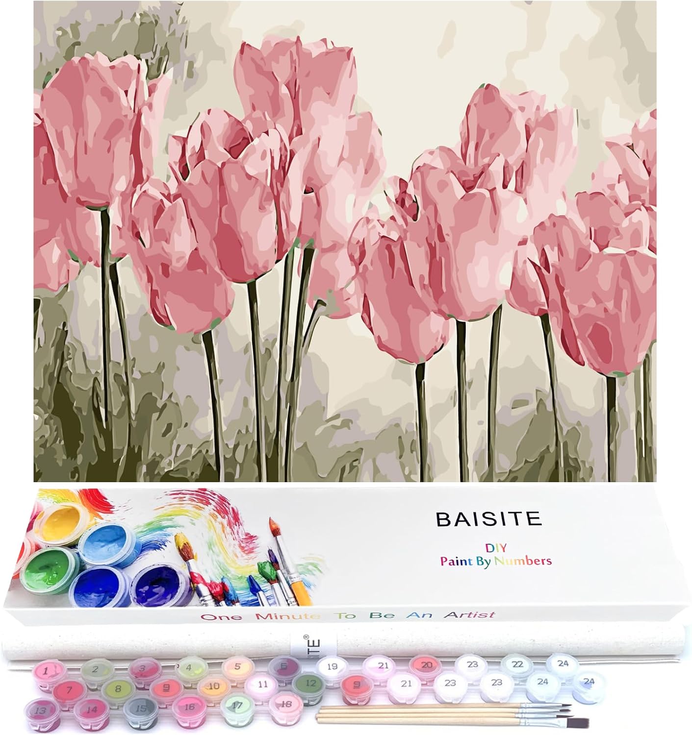 BAISITE Paint by Numbers Kit for Adults Beginners,20" Wx16 L Canvas for Painting Kits for Adults in Colorful Box Poppy Flowers-BSC002