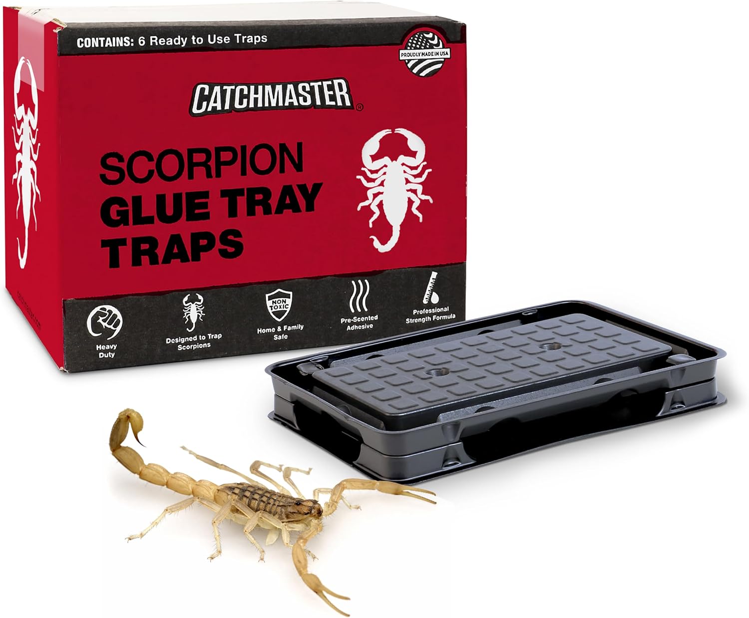 Catchmaster Scorpion Glue Tray Traps 6-Pack, Adhesive Scorpion Killer for Home, Simple Insect Traps Indoor, Sticky Bug Catcher for Kitchen, Garage, & Basement, Pet Safe Pest Control Glue Trap