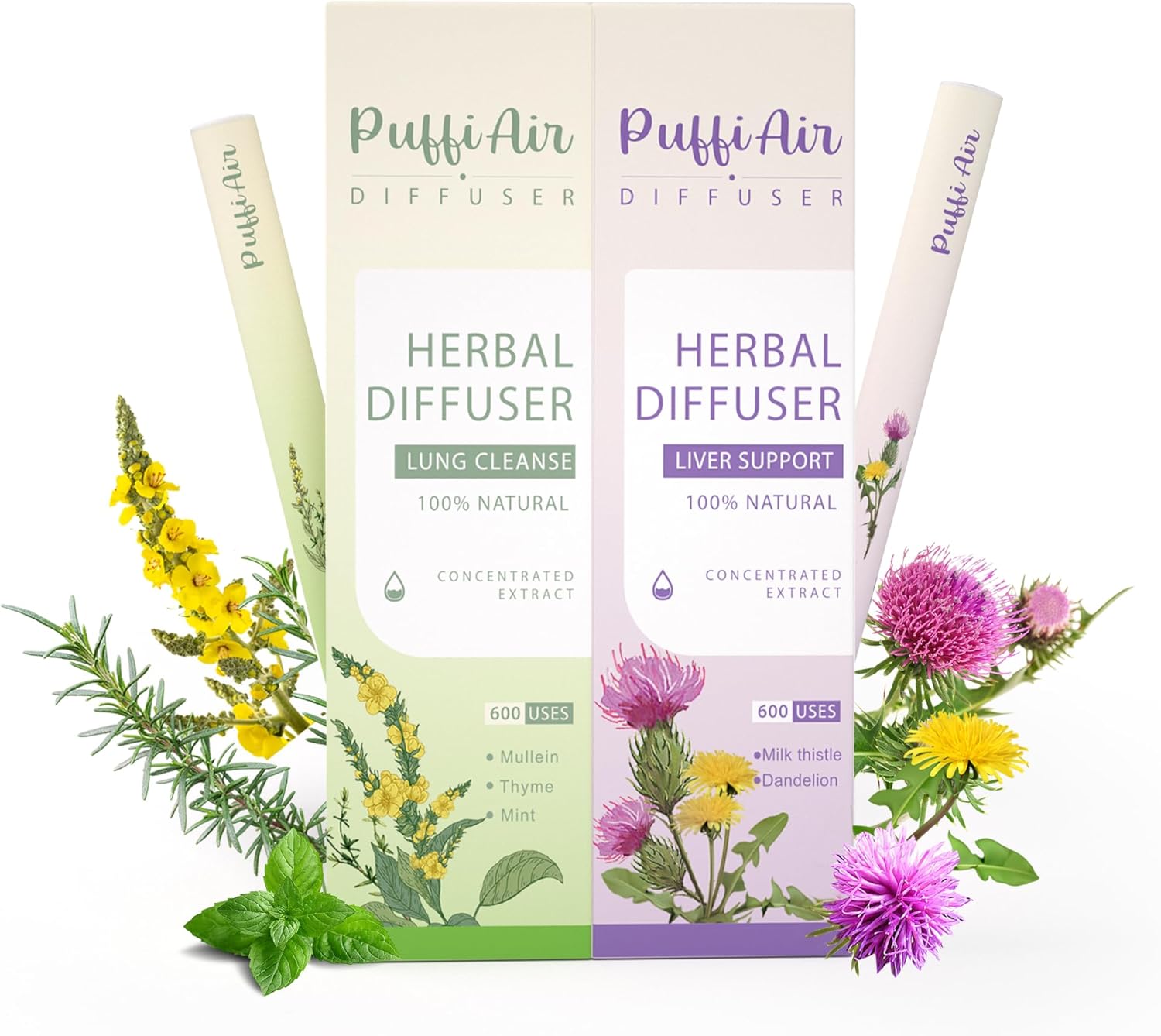 Herbal Mullein & Milk Thistle Diffuser Bundle with Mullein/Thyme/Mint & Milk Thistle/Dandelion/Chrysanthemum丨Fresh Breathing & Natural Detox Support丨Inner Balance Duo - 600 Uses Per Stick