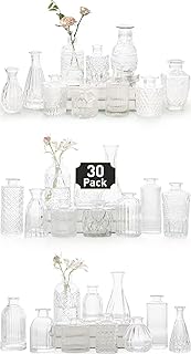 Glass Bud Vase Set of 30 - Small Vases for Flowers, Clear Bud Vases in Bulk, Cute Glass Vases for Centerpieces, Mini Vintage Vase for Rustic Wedding Decorations, Home Table Flower Decor