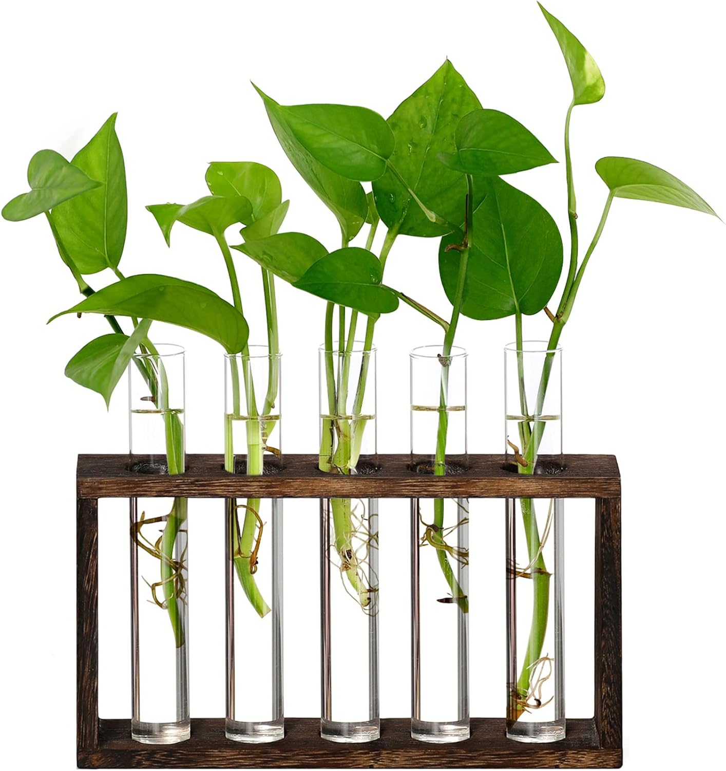 XXXFLOWER Plant Terrarium Wooden Stand with 5 Test Tubes,Glass Planters for Indoor Plants,Plant Lover Gifts for Women Garden Office Decoration