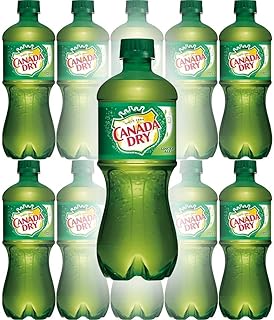Canada Dry Ginger Ale, 20oz Bottle (Pack of 12, Total of 240 Oz)