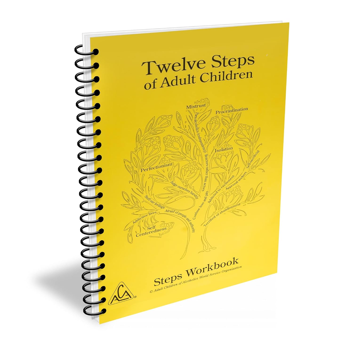 Twelve Steps of Adult Children Steps Workbook