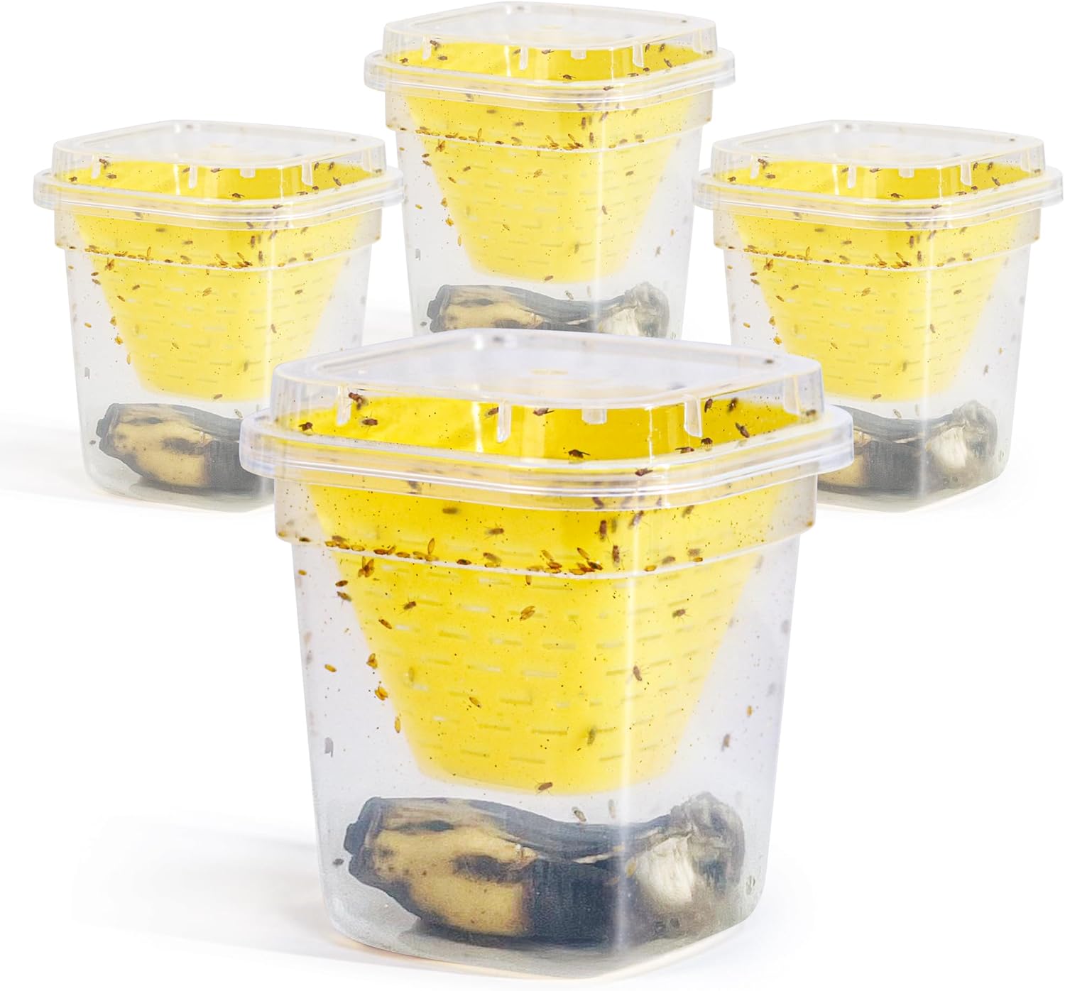 Fruit Fly Trap - 4 Pack - Non-Toxic No Baited Reusable Fruit Flies Catcher Environmentally Responsible Fruit Fly Killer Pet and People Safe