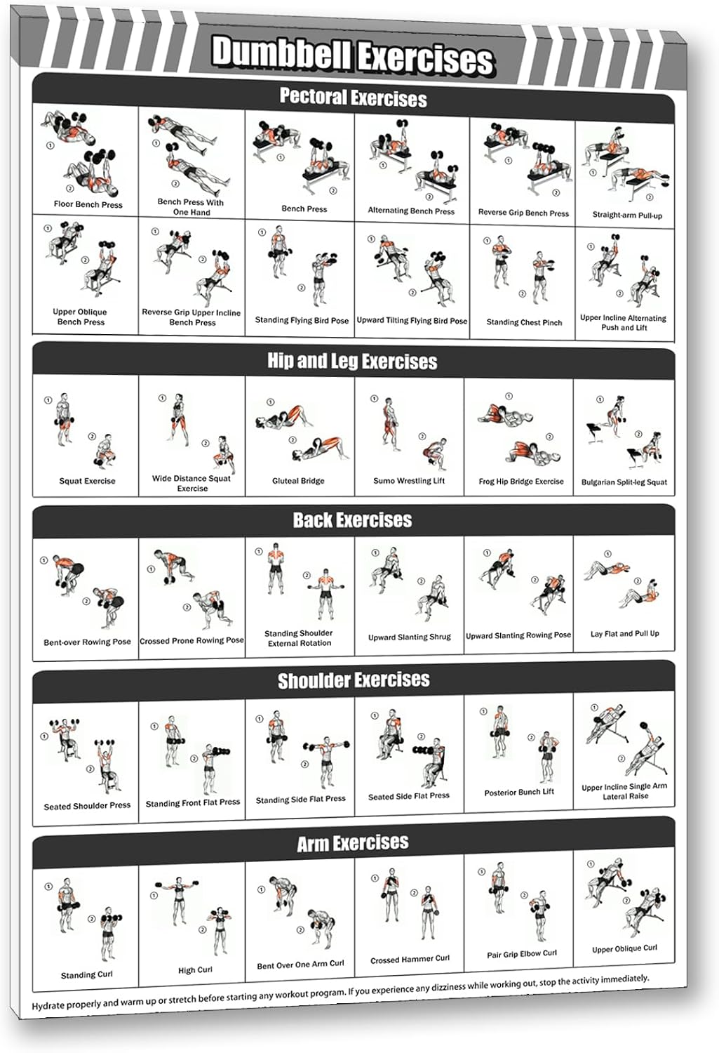 Gym Dumbbell Workout Poster for Men,Exercise Posters for Home Workouts,Fitness Follow-through Action Chart for Home Wall Decorations 16 * 24 IN Unframed