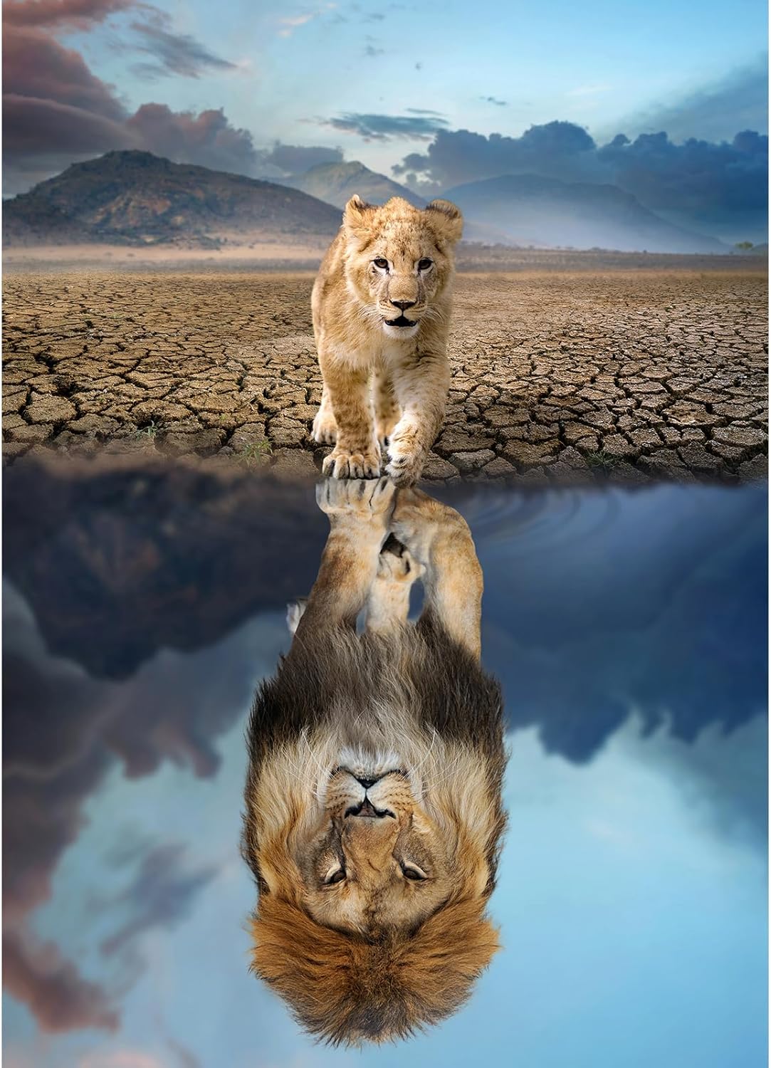 HUADADA Jigsaw Puzzles for Adults 1000 Pieces Puzzles for 1000 Piece Impossible Puzzle for Adults Educational Games (Lion's Reflection de Water)