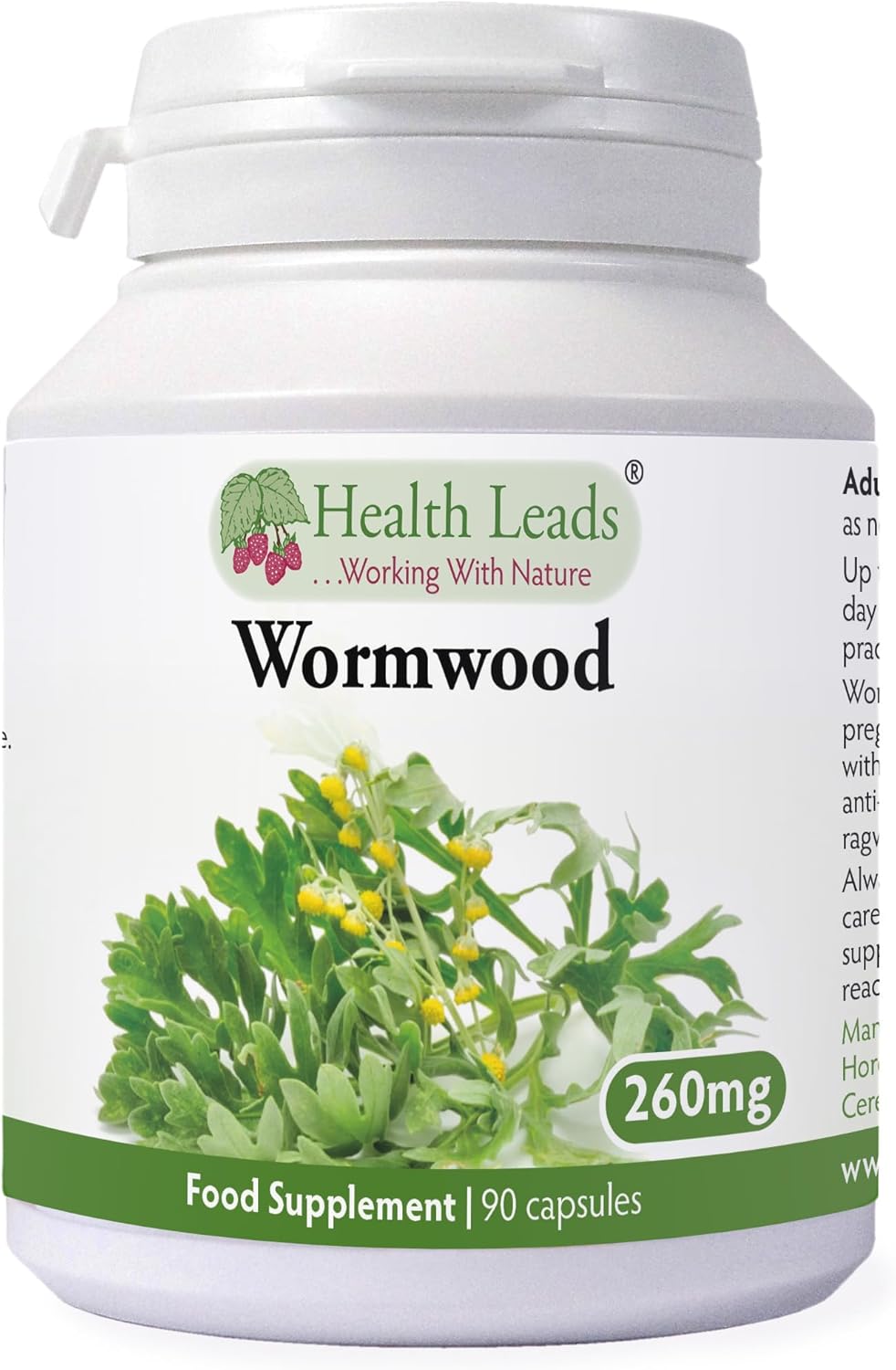 Wormwood 260mg x 90 Capsules