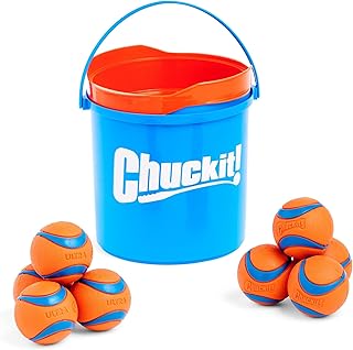 Chuckit! Ultra Ball Dog Toy with Chuckit! Cleaning Bucket Bundle - Bouncy Fetch Pet Toys For Dogs 20-60 lbs - Floats in Water - Durable Rubber - Size Medium - 2.5-inch Diameter - 8-Pack of Balls