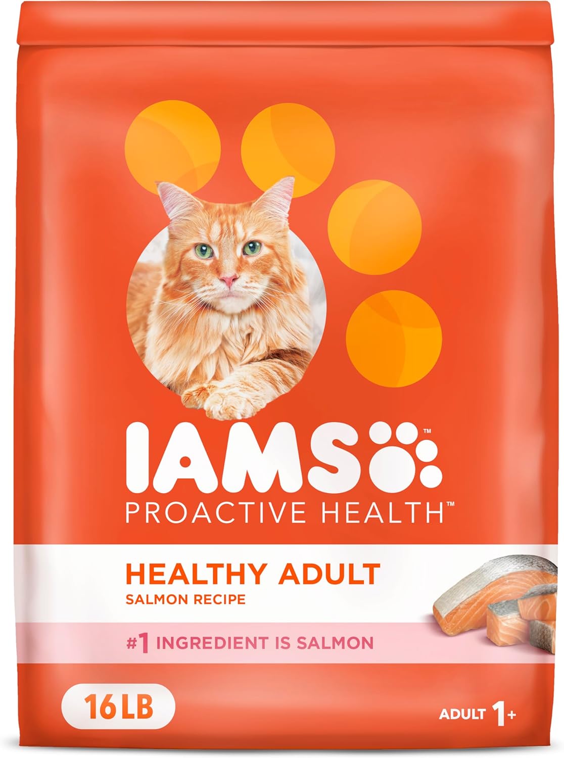 Iams Proactive Health Adult Healthy Dry Cat Food with Salmon, 16 lb. Bag