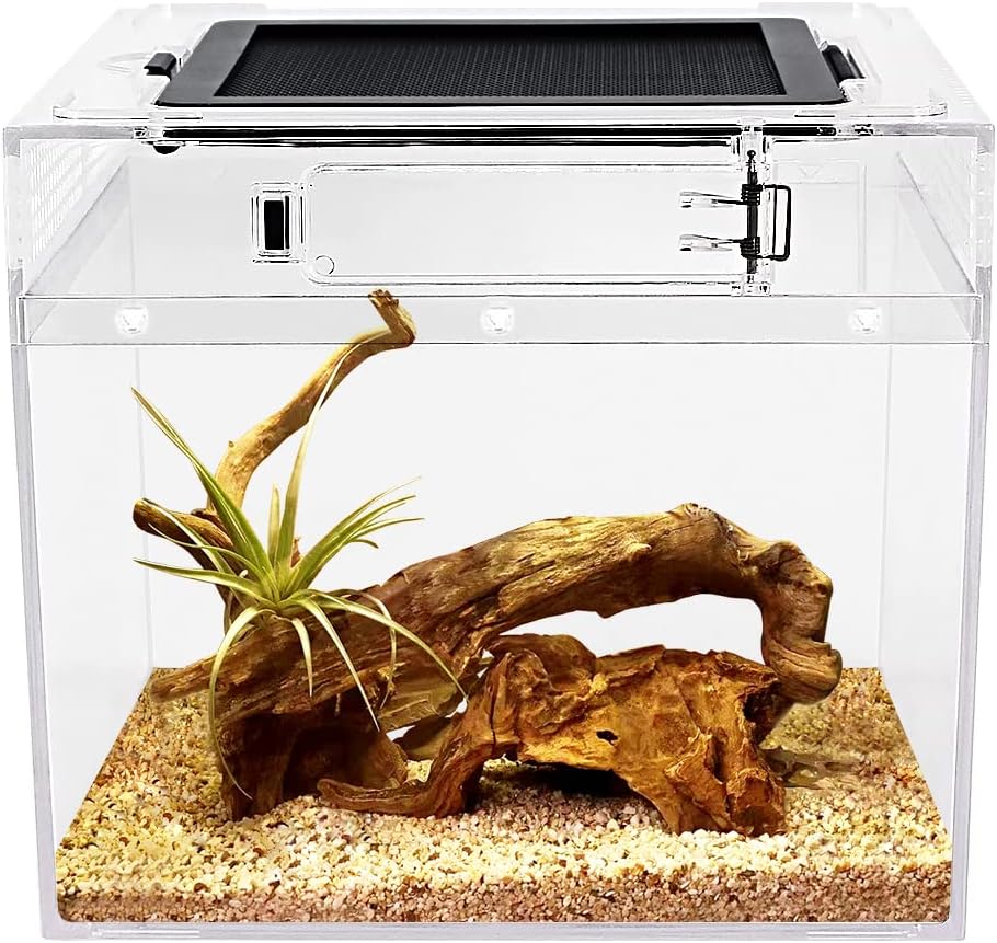 Mini Reptile Terrarium,8" x 8"x 8" Reptile Tank with Full View Visually Appealing，for Insect，Fish，Tarantula，Hermit Crab，Jumping Spider，Iguana，Tortoise，Leopard Gecko，Frog，Bearded Dragon