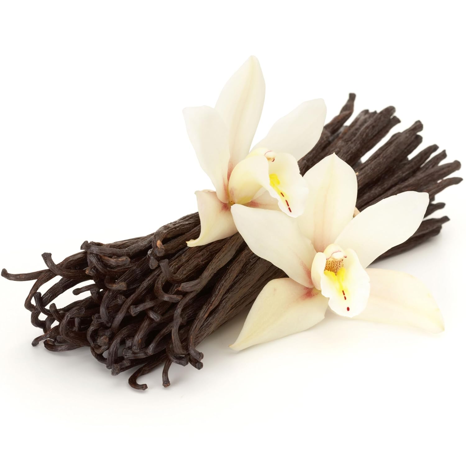 1/2 LB Organic Madagascar Vanilla Beans Whole Grade A Vanilla Pods for Homemade Vanilla Extract and Baking - 8 Ounces