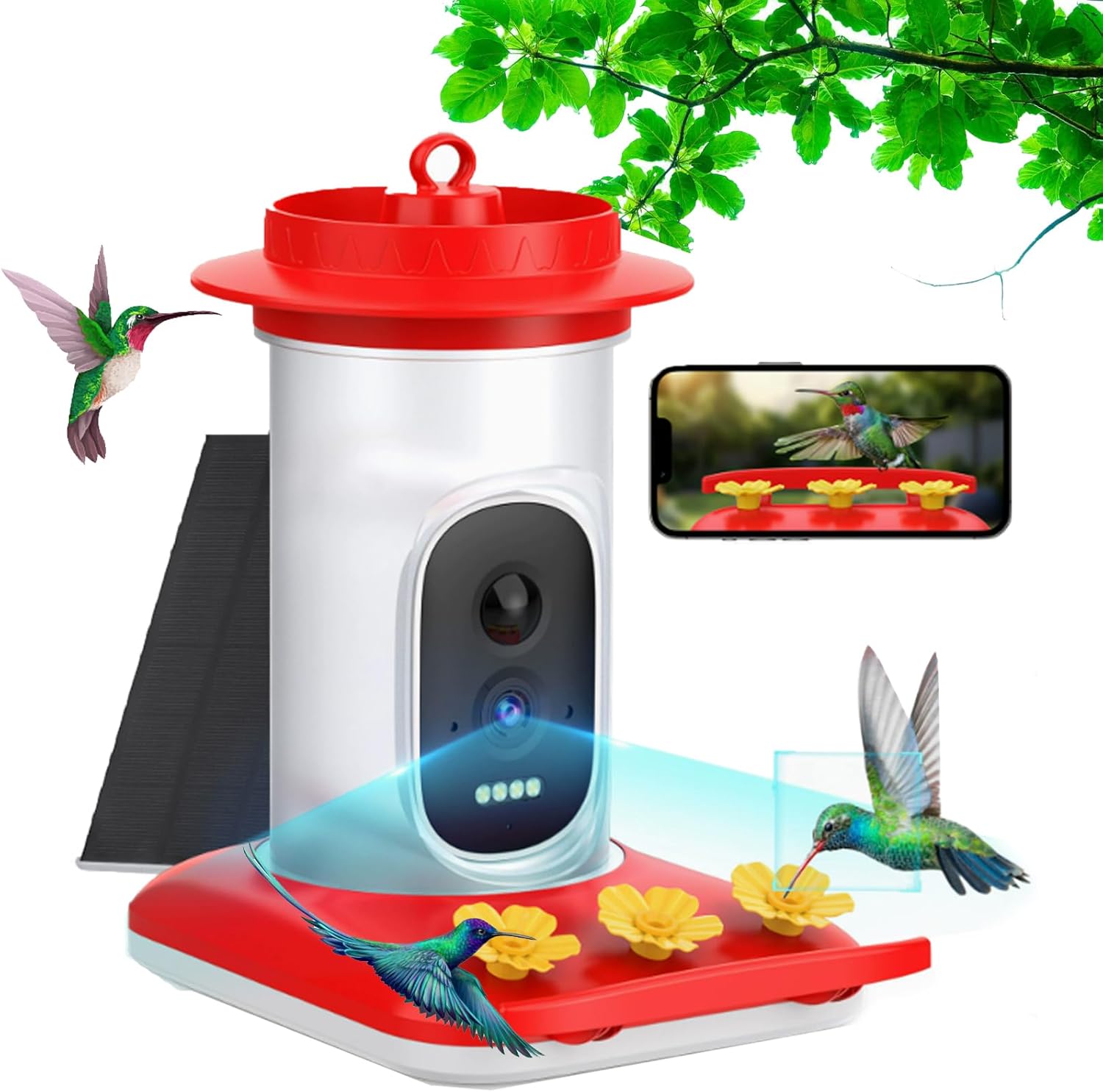 GLSAYZU Hummingbird Camera Feeder, Smart Hummingbird Feeder with Camera, Solar Powered, AI Identify Cloud Storage Instant Notification for Outdoors Hanging